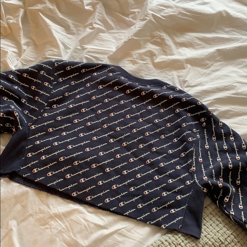Pacsun champion crop top hoodie